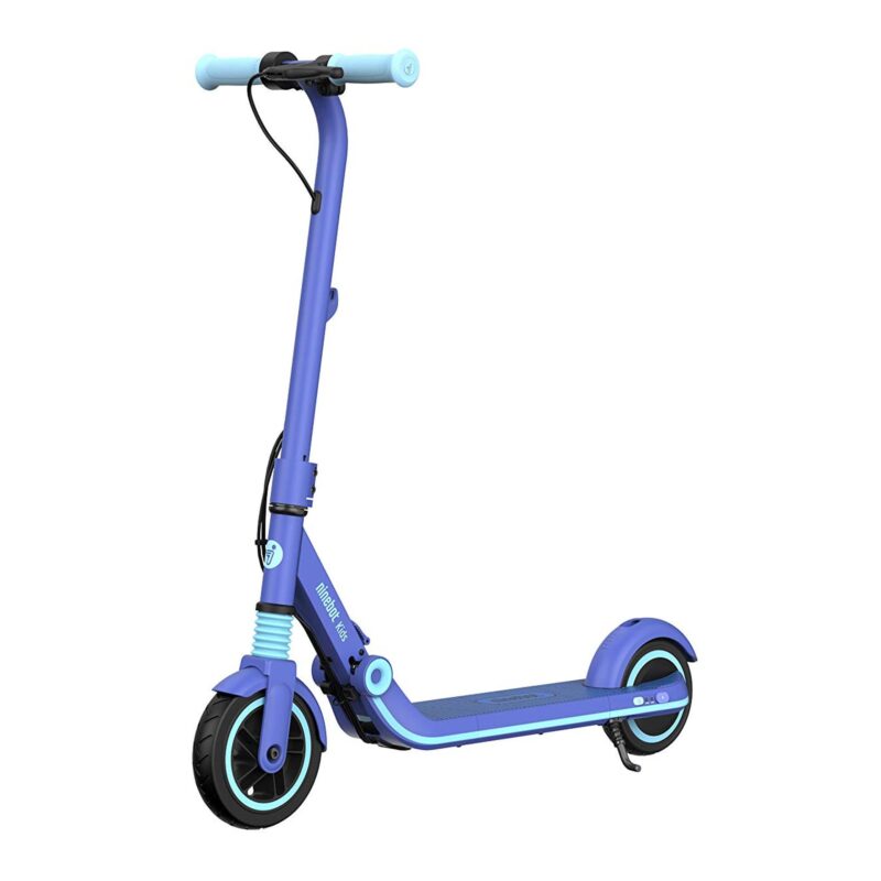 Ninebot eKickScooter ZING E8